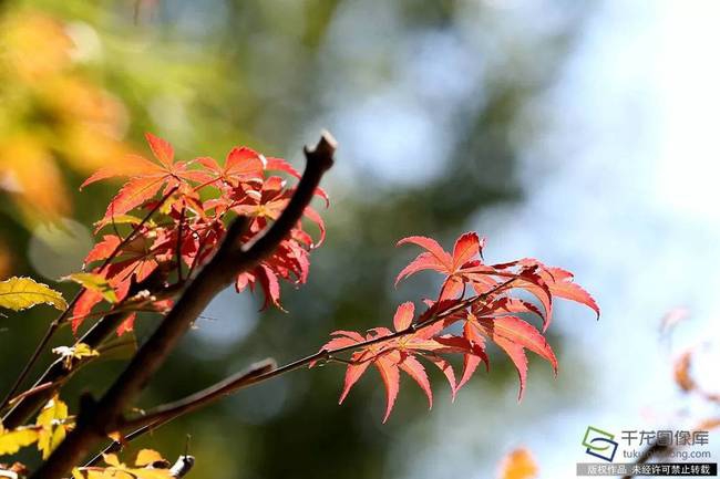A study found that listening to audiobooks can improve reading comprehension in young adults