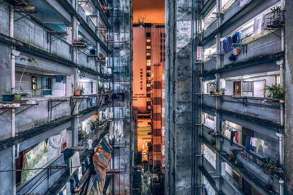 A pet store hosted a training workshop for new dog owners
