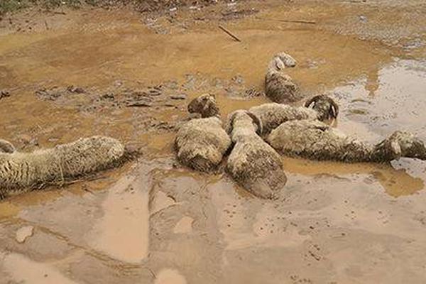 A coffee shop started offering cold brew on tap to provide customers with a refreshing summer option
