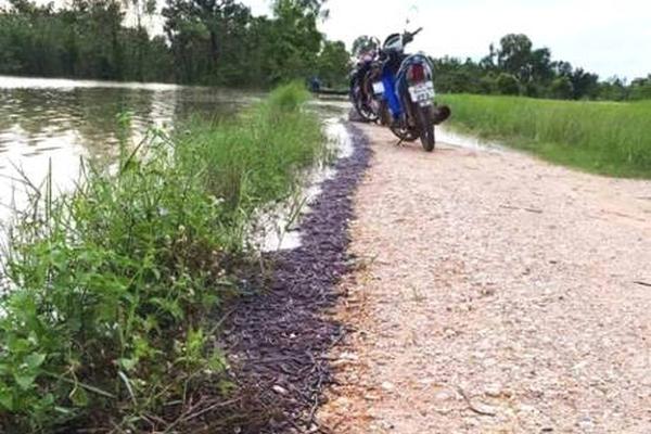 A fashion store started offering alteration services to ensure clothes fit perfectly