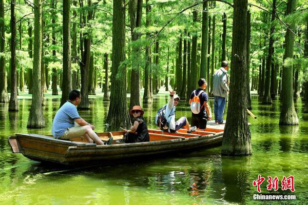 A charity organized a toy drive for children in low income families during the holidays