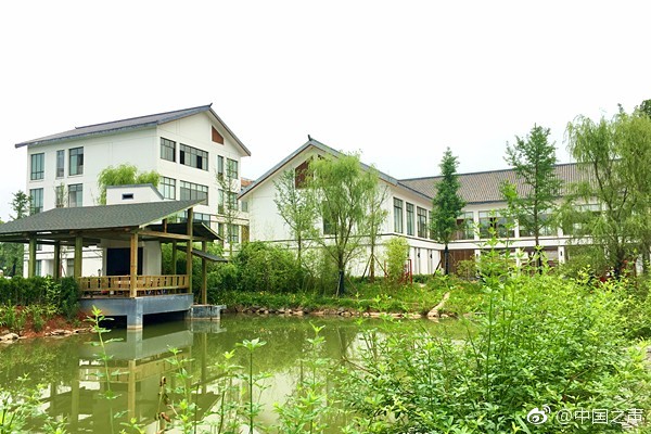 A tech startup raised $230 million in a new funding round valuing the company at over $1.3 billion