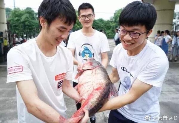 The city council banned the use of plastic bags in all retail stores