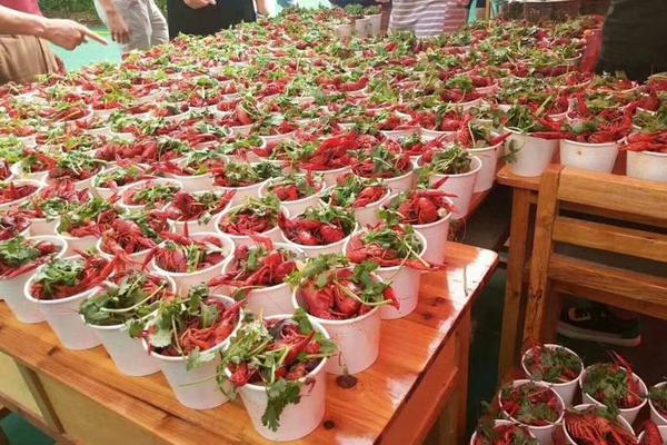 The city council approved the construction of a new public library in the northern neighborhood