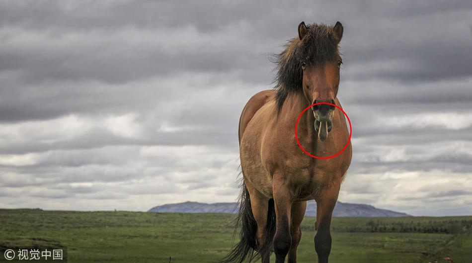 The transportation department began construction on a new highway bypass to reduce traffic in the city center