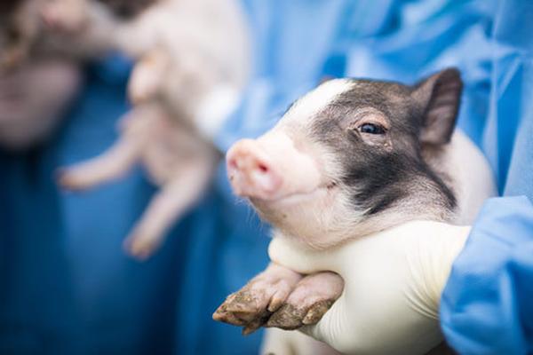 A musician’s new song became the most-streamed track of the week on global music platforms