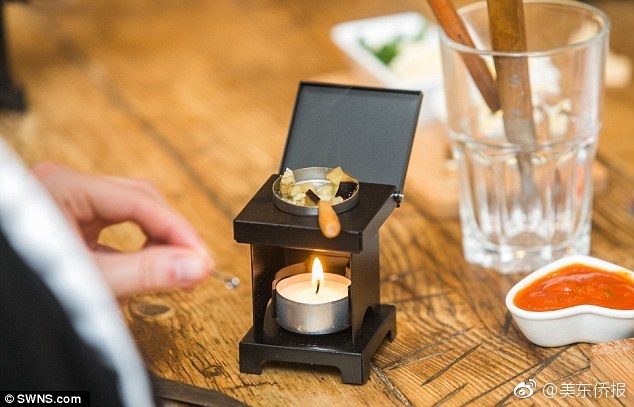 Scientists studied the impact of plastic waste on marine life