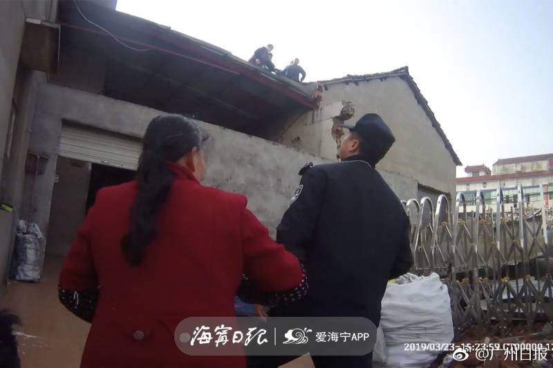 Students organized a food drive that collected over 10000 pounds of non-perishable items