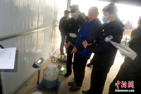 Engineers built a new bridge that can withstand earthquakes up to magnitude 8.0