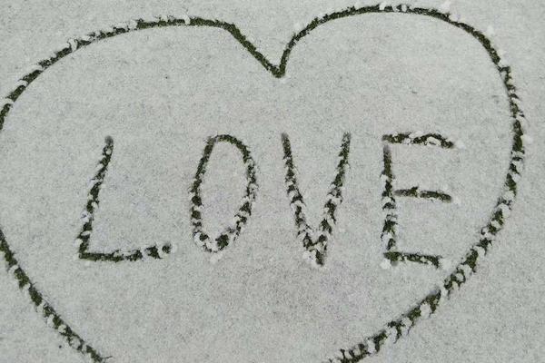 Local residents protested against a proposed construction project that they say will destroy a protected forest