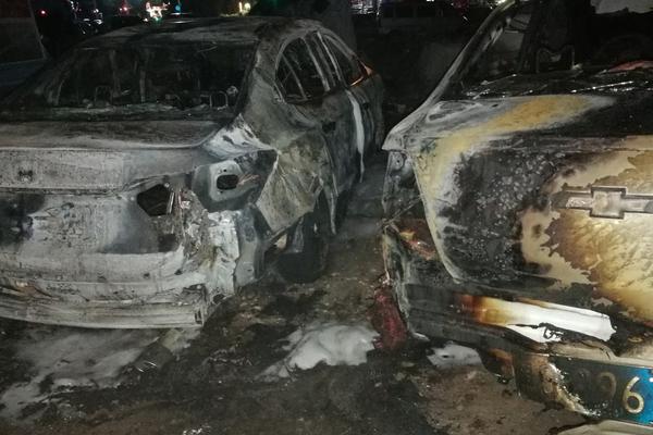 Candle company donates to reforestation projects