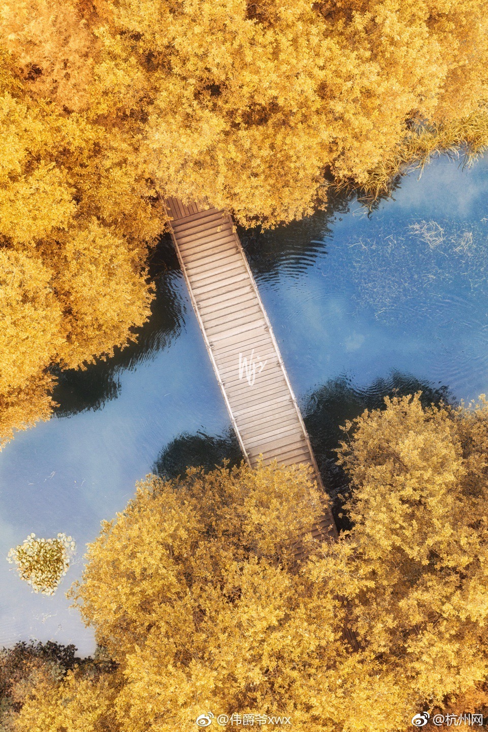 A city installed new traffic lights with countdown timers to improve pedestrian safety