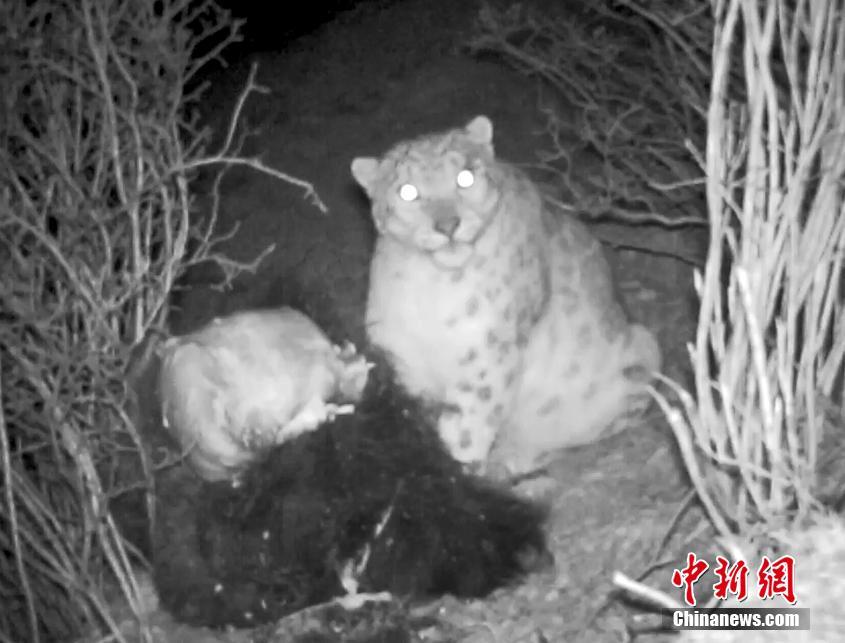 A well-known actor announced his retirement from the film industry after 30 years