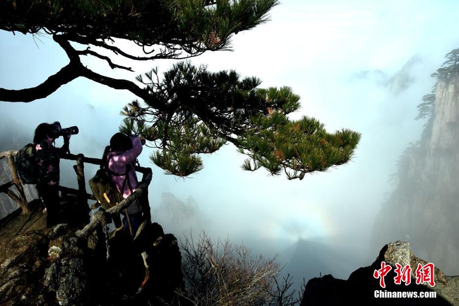 A wildlife conservation group worked with local communities to protect forest habitats from deforestation