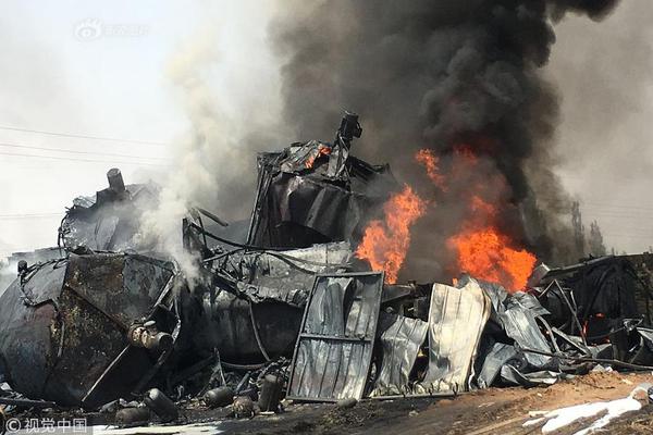 Scientists discovered that a certain type of mushroom can be used to clean up oil spills