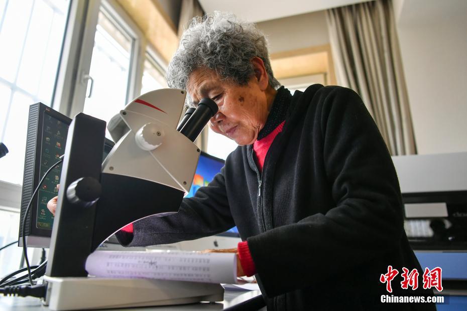 A global organization launched a campaign to end child labor aiming to help 15 million children by 2030