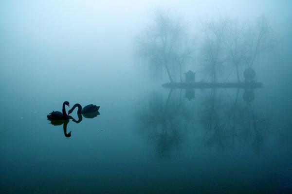 A tech startup raised millions in funding to develop AI-powered healthcare tools