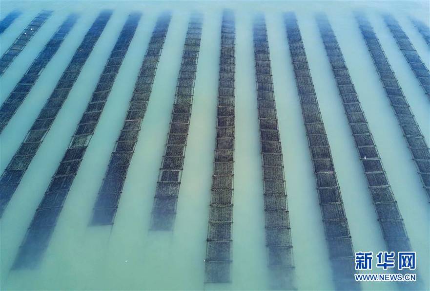 Doctors at a children’s hospital developed a new treatment for childhood asthma with fewer side effects