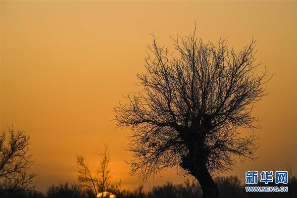 An airline announced it would use more efficient engines to reduce fuel consumption and emissions