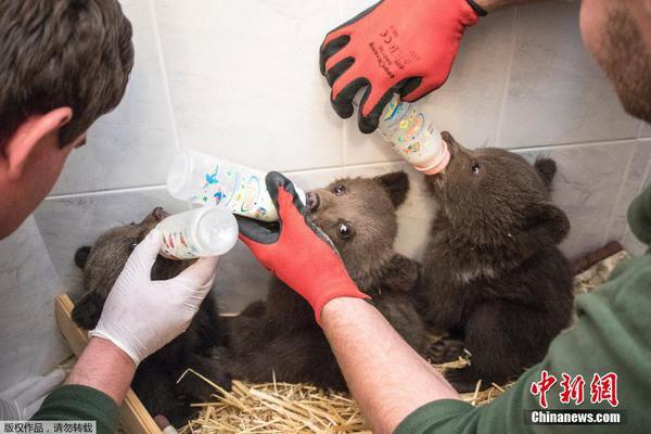 Researchers developed a new type of fabric that repels stains and doesn’t require frequent washing