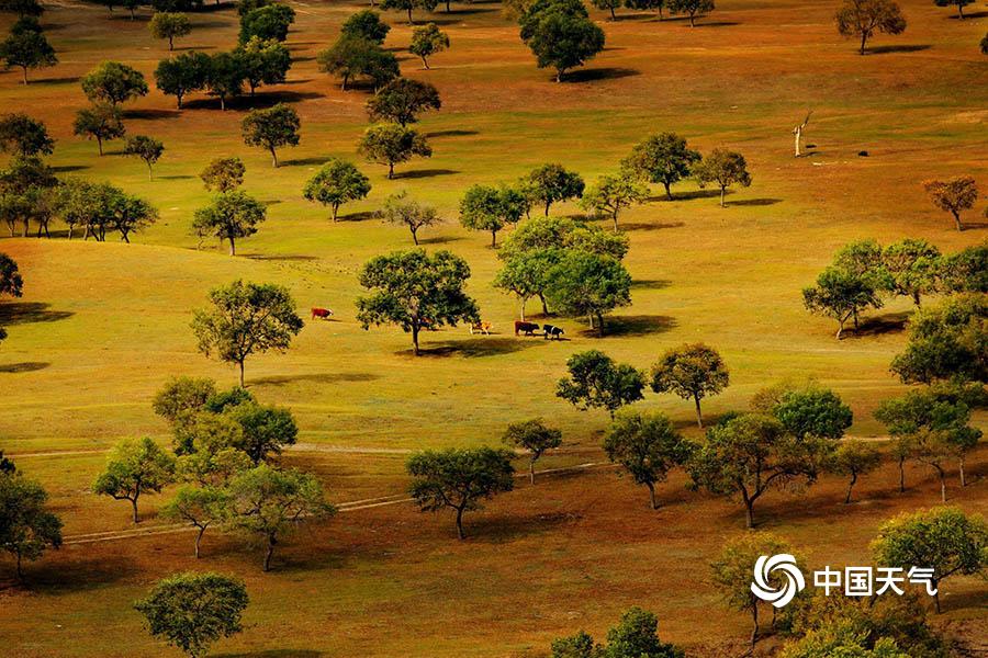 A grocery store started selling gluten-free snacks like chips and granola bars