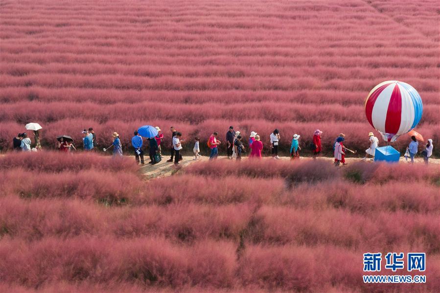 A bakery started selling its products online and shipping them to customers across the country