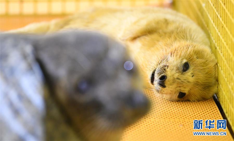 A new high-speed train service started operating between two major cities