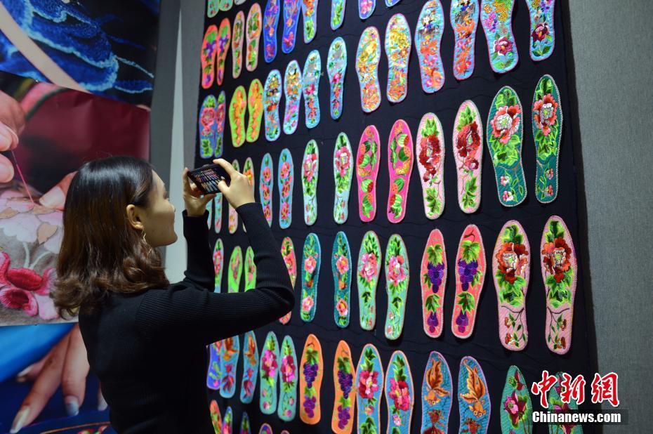 Researchers discovered a new species of bird in a remote forest in South America