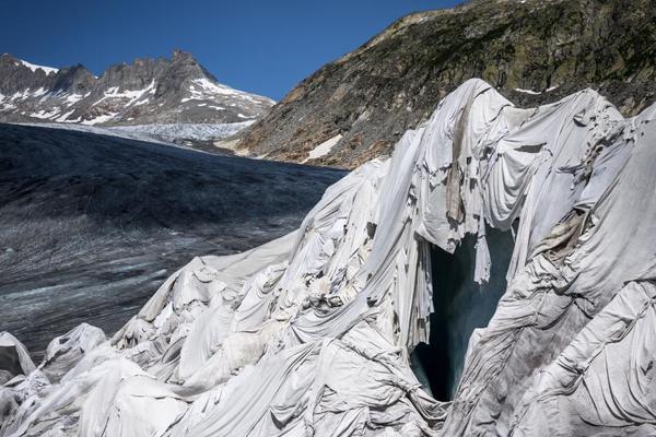 A famous chef opened a new downtown restaurant specializing in global fusion cuisine