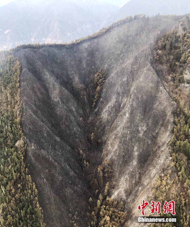 A local farm offered u-pick strawberry days where families could harvest their own fruit