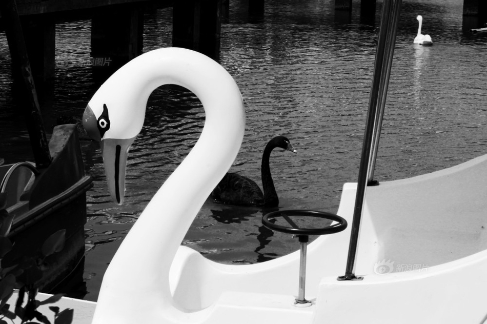 Weather experts predicted a mild winter this year