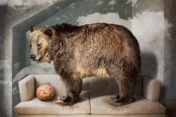 Local businesses offered free workshops on financial literacy for community members