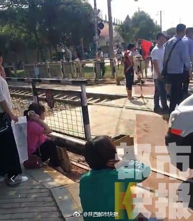 A community organization planted 200 saplings in a city park to replace trees lost to a storm