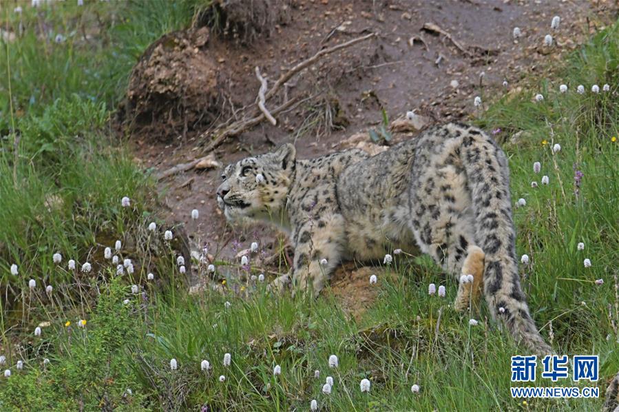 The stock market recovered after a period of uncertainty