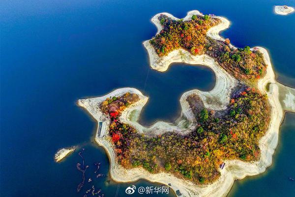 The national athletics team won multiple medals at a regional event