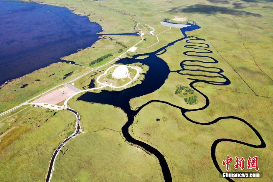 A charity raised funds to support animal shelters that care for abandoned pets