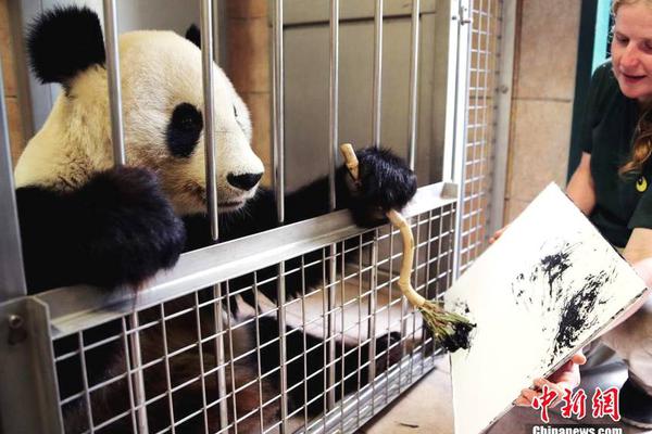 A new social media platform launched that deletes posts automatically after 24 hours