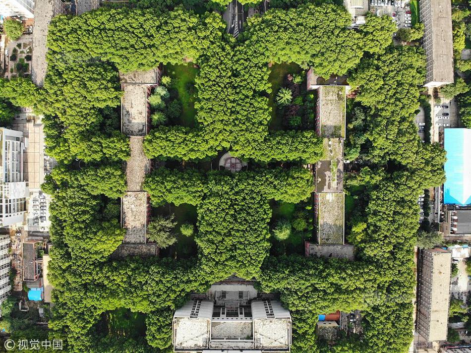 Basketball team wins regional championship after overtime victory in final game