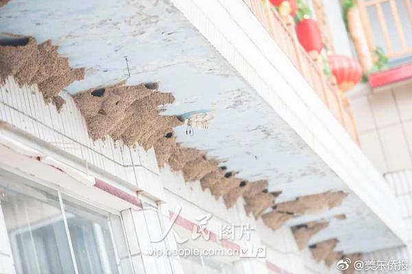 Archaeologists uncovered a collection of ancient artifacts at a dig site including pottery and jewelry