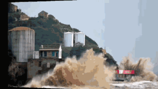 A new animal shelter opened to provide care for stray cats and dogs in the city