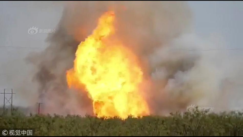 A team of veterinarians opened a clinic that specializes in treating exotic pets