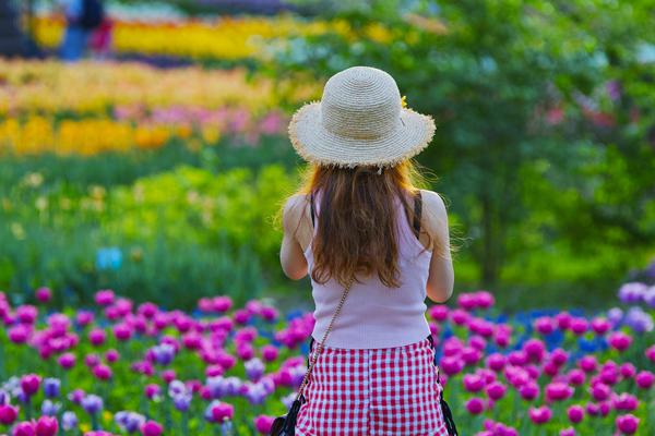 The government passed a law to protect endangered birds from illegal hunting and habitat destruction