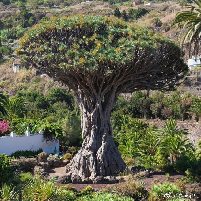 A small business owner started selling their products in a national retail chain