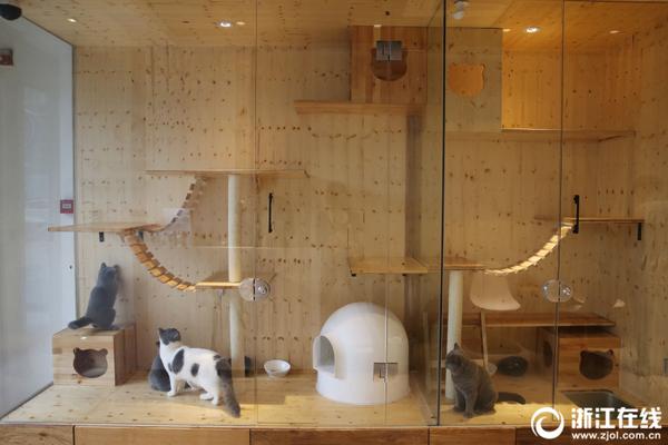 A research study showed that meditation helps reduce anxiety