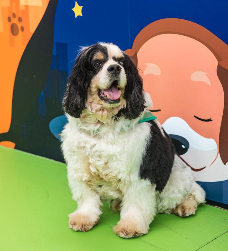 A tech company announced plans to open a new office in a smaller city