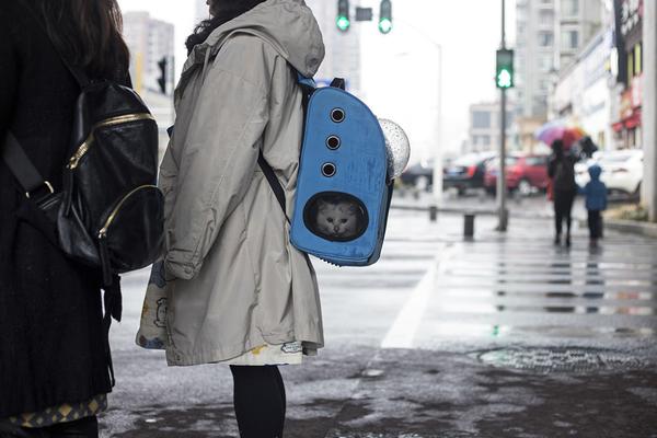 A tech company announced it will move its headquarters to a smaller city to reduce costs