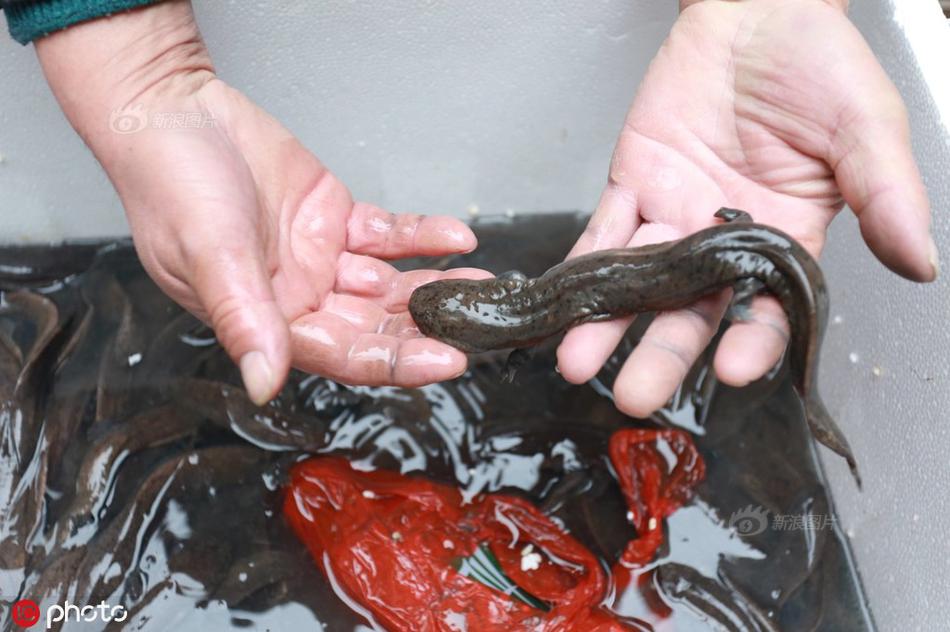 Hardware store expands inventory to include more sustainable building materials