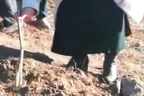 A local museum held a special exhibition featuring ancient artifacts from foreign countries