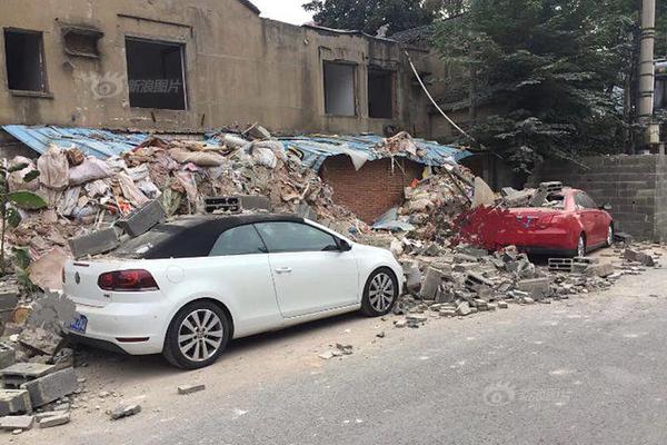 Scientists identified a new species of frog in a tropical rainforest in South America