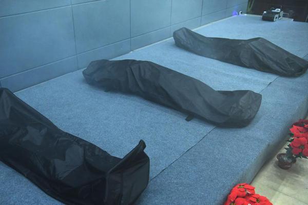 Scientists found that a certain type of plant can be used to treat headaches and migraines